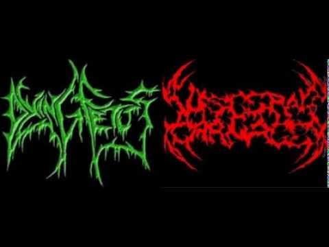 Visceral Carnage - Kill Your Mother Rape Your Dog