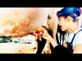 Cow Animals Milkingmachinetamilnadu Milking Lifeisbutadream
