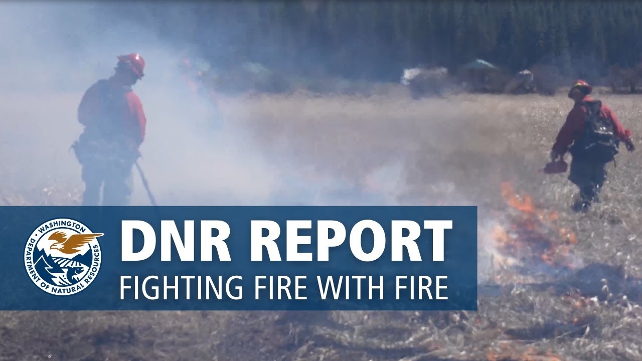 Fighting Fire with Fire | DNR Report
