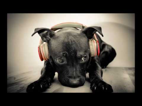 Ljubinka Dudejic  - Furnjika  duet