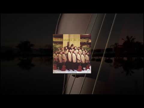 No Tengo Tiempo De Esperar - La rondalla de…
