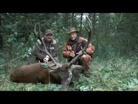 Der Pensionshirsch wurde erlegt!