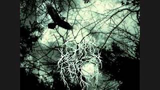 Spirit Of the forest - Echoes of deepness