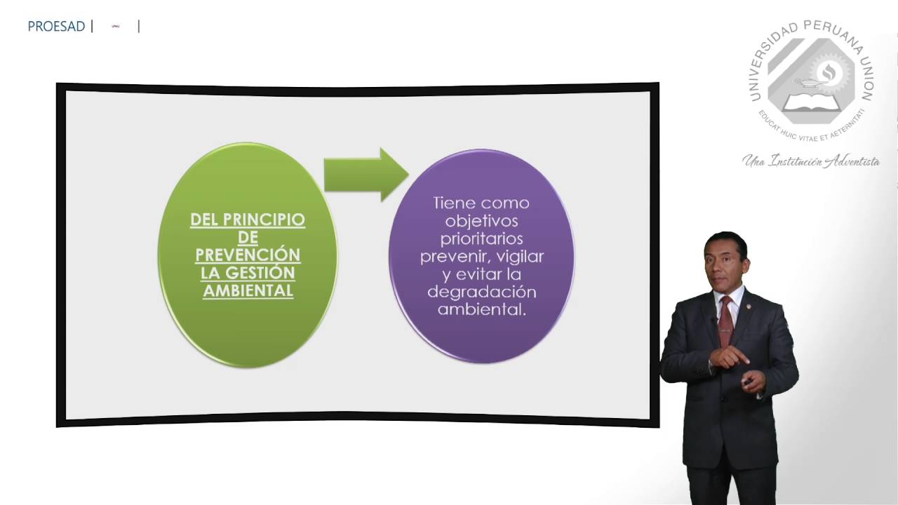 PRINCIPIOS AMBIENTALES.SESION 15.EDUCACION AMBIENTAL  SESION 15