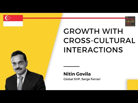 How to Work in a CROSS-CULTURAL Environment? | Nitin Govila | TBCY