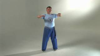 Wing Chun's Siu Nim Tau Applications (HD)
