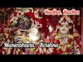 कृष्ण मनमोहन मोरा काना मोरा कृष्ण Krishna Mo