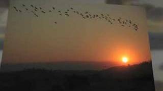 Sunset by Mark Hewer (with Mike Burn)