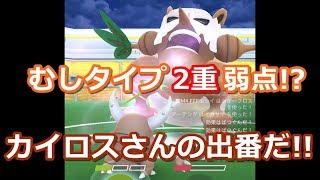 ダーテング ポケットモンスター マダツボミ プラスル シュシュプ