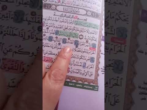 سورة المائدة ( المصحف المثبت للحفظ )