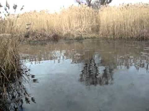 Dy burimet te Vrella - Miratoc