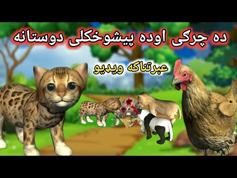 Pashto Cartoon | ده چرګى اوده پيشوخکلى دوستانه | Pashto Cartoon Story | Kashif's Cartoon