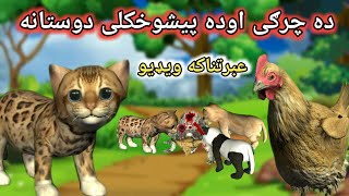 Pashto Cartoon  ده چرګى اوده پيشوخ�