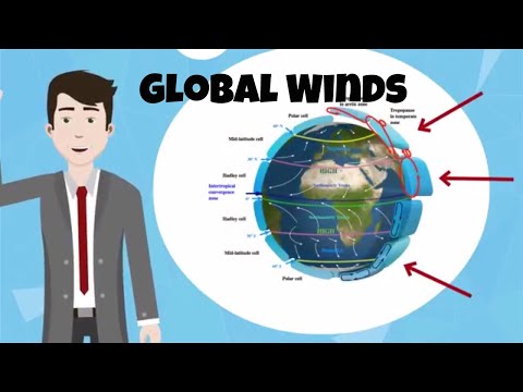 Global winds