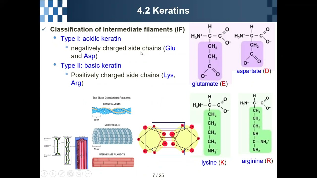 Protein Engineering Chapter 04 & 05 Summary