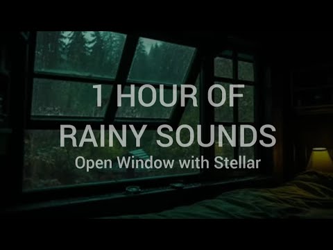 1 Hour of Rainy Window Ambience with Stellar - .diedlonely | Open Window, Rain & Music for Sleep