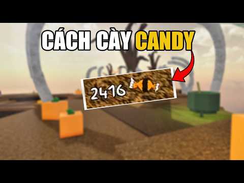 Đây Là Cách Chơi Sự Kiện Halloween Của Jujutsu Shenanigans