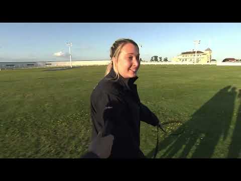 GREYHOUND DERBY - 4TH QF - T5 SIGNET GOOFY