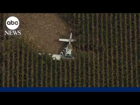 Skydivers' heroic actions to rescue victims of small plane crash