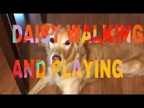PLAYING DAISY