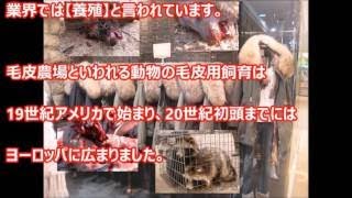 【閲覧注意】人間界の風刺画が恐ろし過ぎてヤバイ世界の現状を考えさせられる罪深い人間達【地球の限界が近づいている】