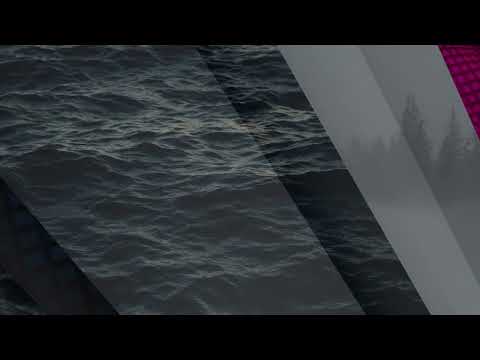 Shynee "Freedom pt I"