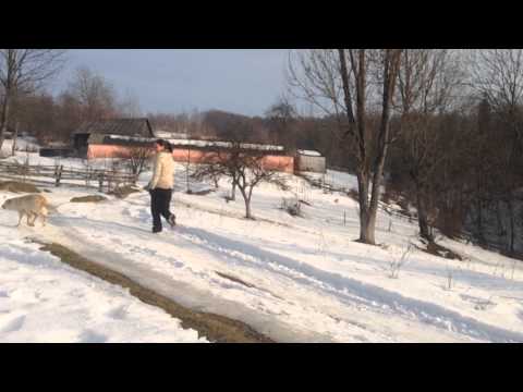 revelion2014 Sohodol