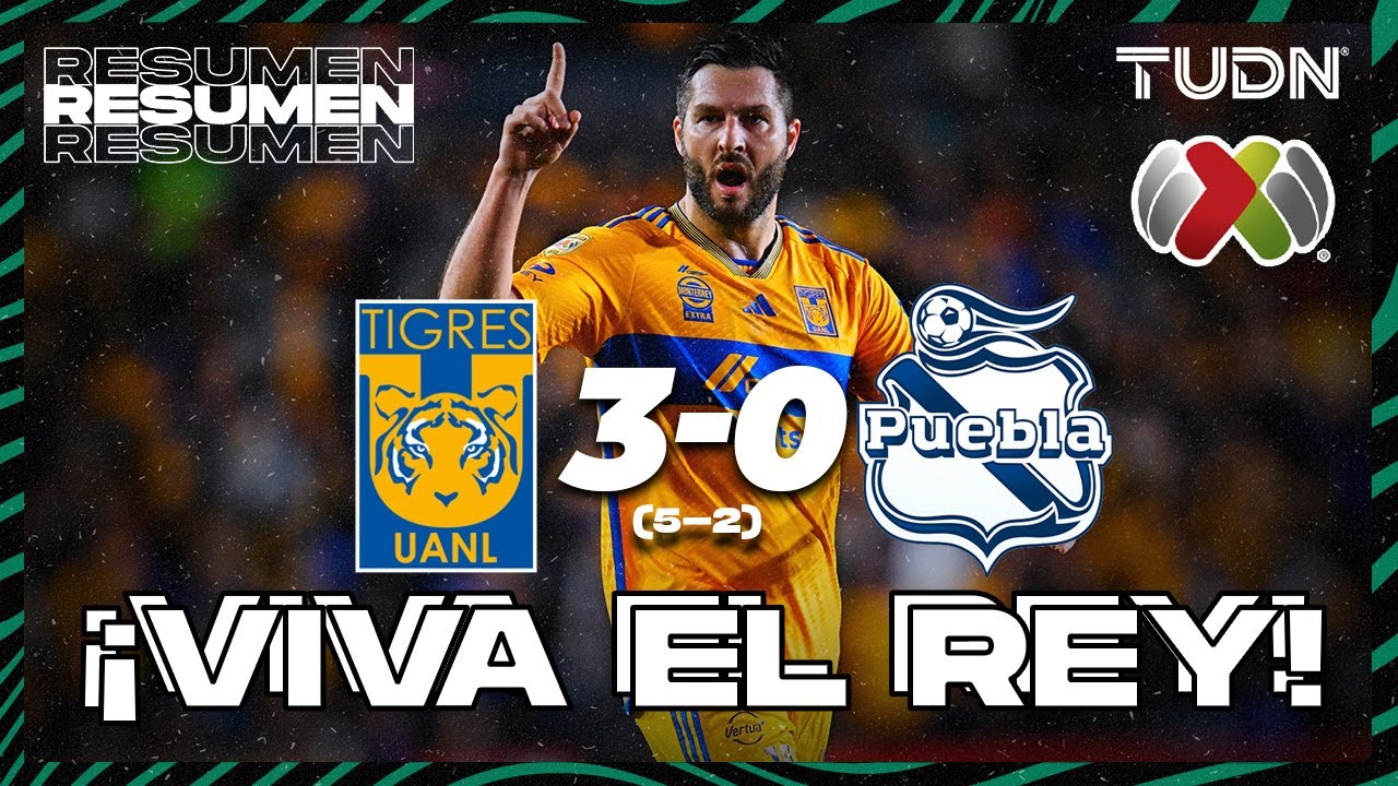 Tigres UANL vs Puebla highlights