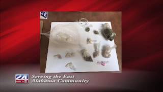 Traffic Stop Leads to Drug Arrest