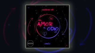 Del Amor Al Odio Music Video