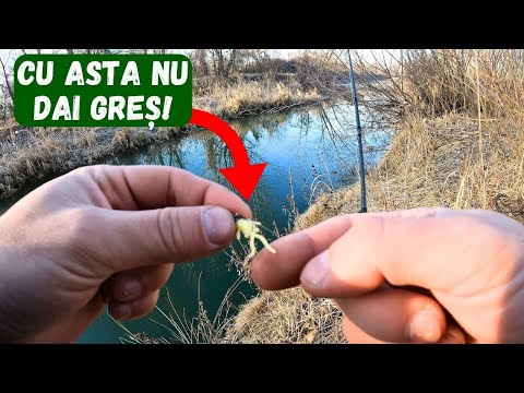 Am prins CLENI in LOCURI NOI pe CRICOV in toiul IERNII