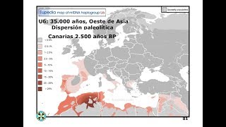 Cambios genéticos y culturales en la prehistoria de Iberia. Perspectiva desde la Aldea Europea