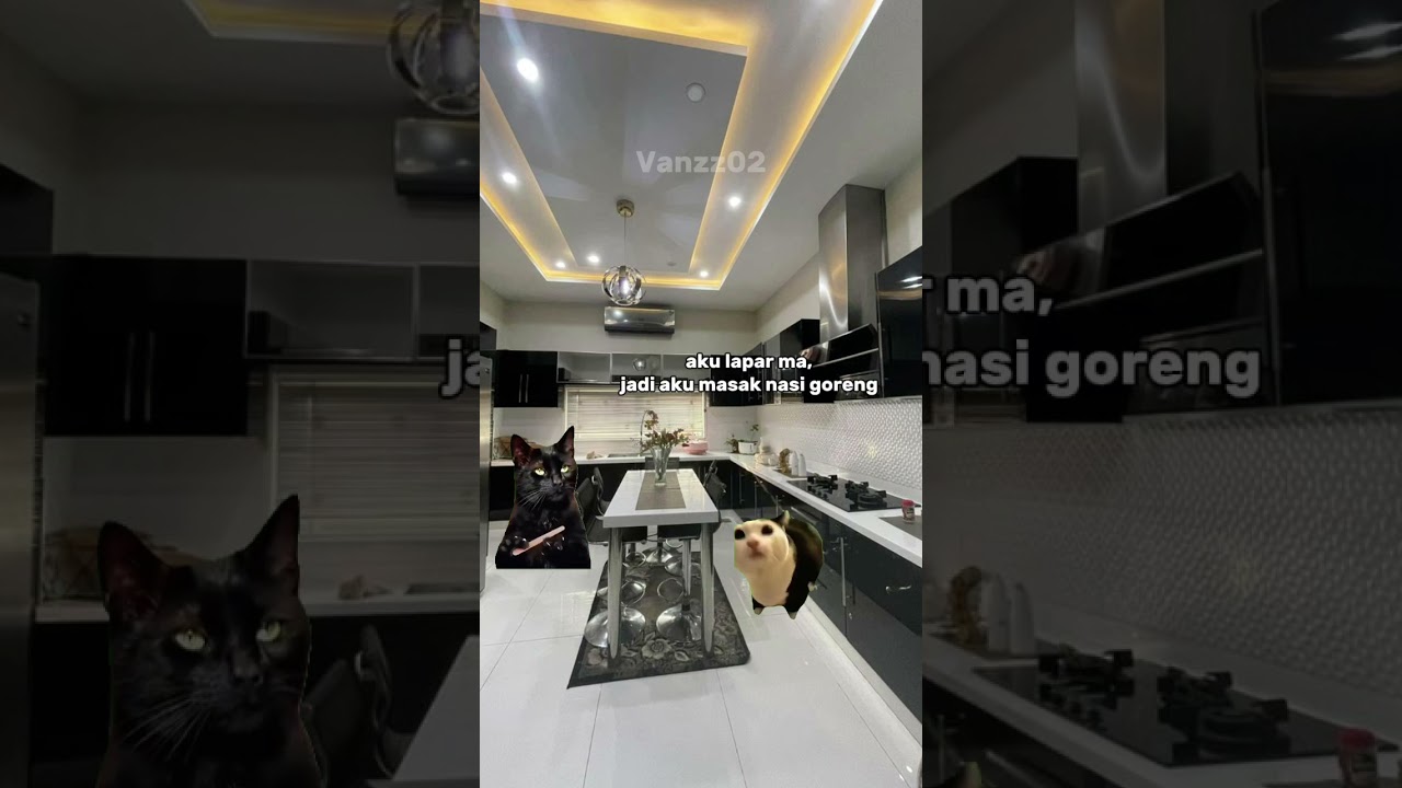 NasGor Tengah Malam 🤣 #shortvideo #memes #meme #shorts #fyp #funny #funnyvideo #cat #fypシ