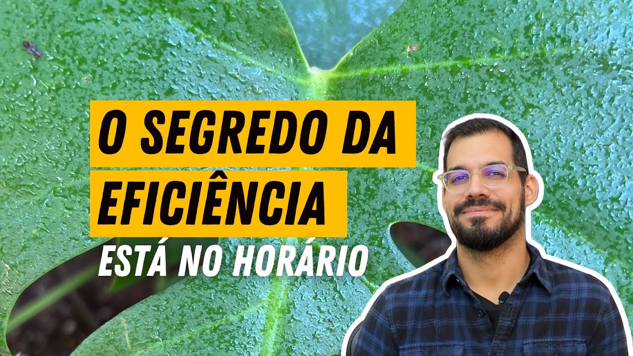 Melhor horário para ADUBAÇÃO FOLIAR