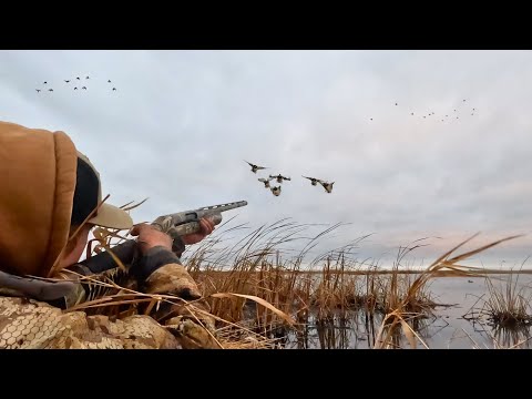 Decoying MALLARDS On A PUBLIC LAND Pothole | Duck Hunting 2025