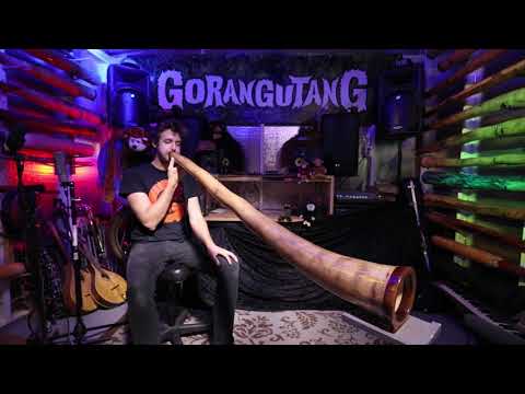 Agave Multidrone Didgeridoo in Eb - AG008