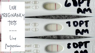 IVF Round #2 | LIVE PREGNANCY TESTS 7-8 DP5DT | TWW Symptoms | Becoming a Single Mom by Choice