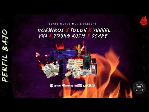 PERFIL BAJO | ROEWIROS x TOLON x YOUNG KUSH x VM8 x YUNNEL x SCAPE