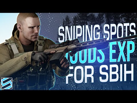 Woods Expansion Sniping Spots you May Not Know - Escape from Tarkov