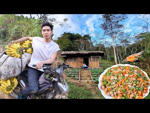 A failed CEO returns to his hometown hoping to find a simple life in a poor rural area.