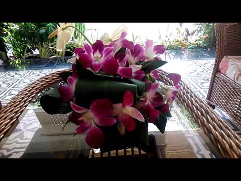 Немного территории отеля