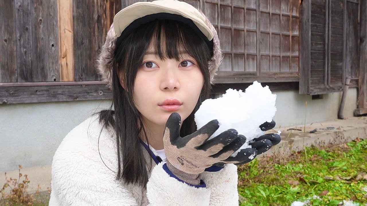 豪雪地帯の村、雪囲いをして来たる冬に備えます