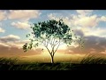 Planting Trees Animation