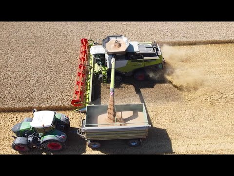XXL Drescher Claas Lexion 770 Getreideernte 2020 Weizen dreschen DJI Mavic Mini Drohne #wheatharvest