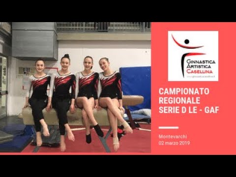 Serie D LE - Regione Toscana - Ginnastica Artistica