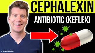 CEPHALEXIN antibiotic education | Uses, doses, side effects and more