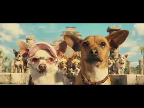 Zwiastun - Chihuahua z Beverly Hills