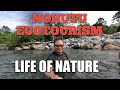 God Given Beauty Nohutu Ecotourism Life Of Nature Malangkap Village Kadamaian Kota Belud