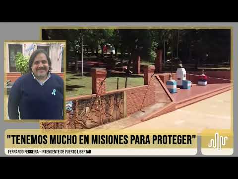 Intendentes pidieron a los senadores por Misiones rechazar la reforma de la Ley de Tierras