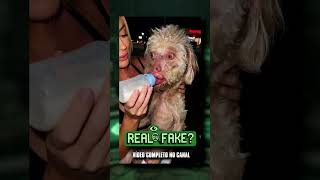 ASSISTA AGORA! Real ou Fake 8  🕵️‍♂️🔍 ! ANALISANDO OS VÍDEOS  #shorts
